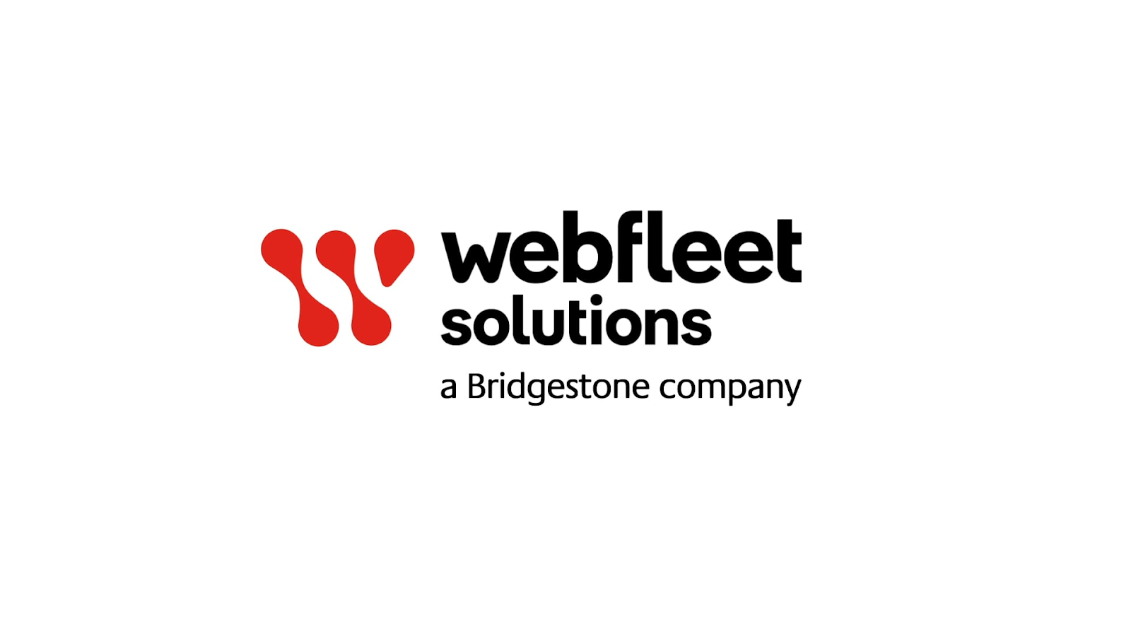 webfleet 1